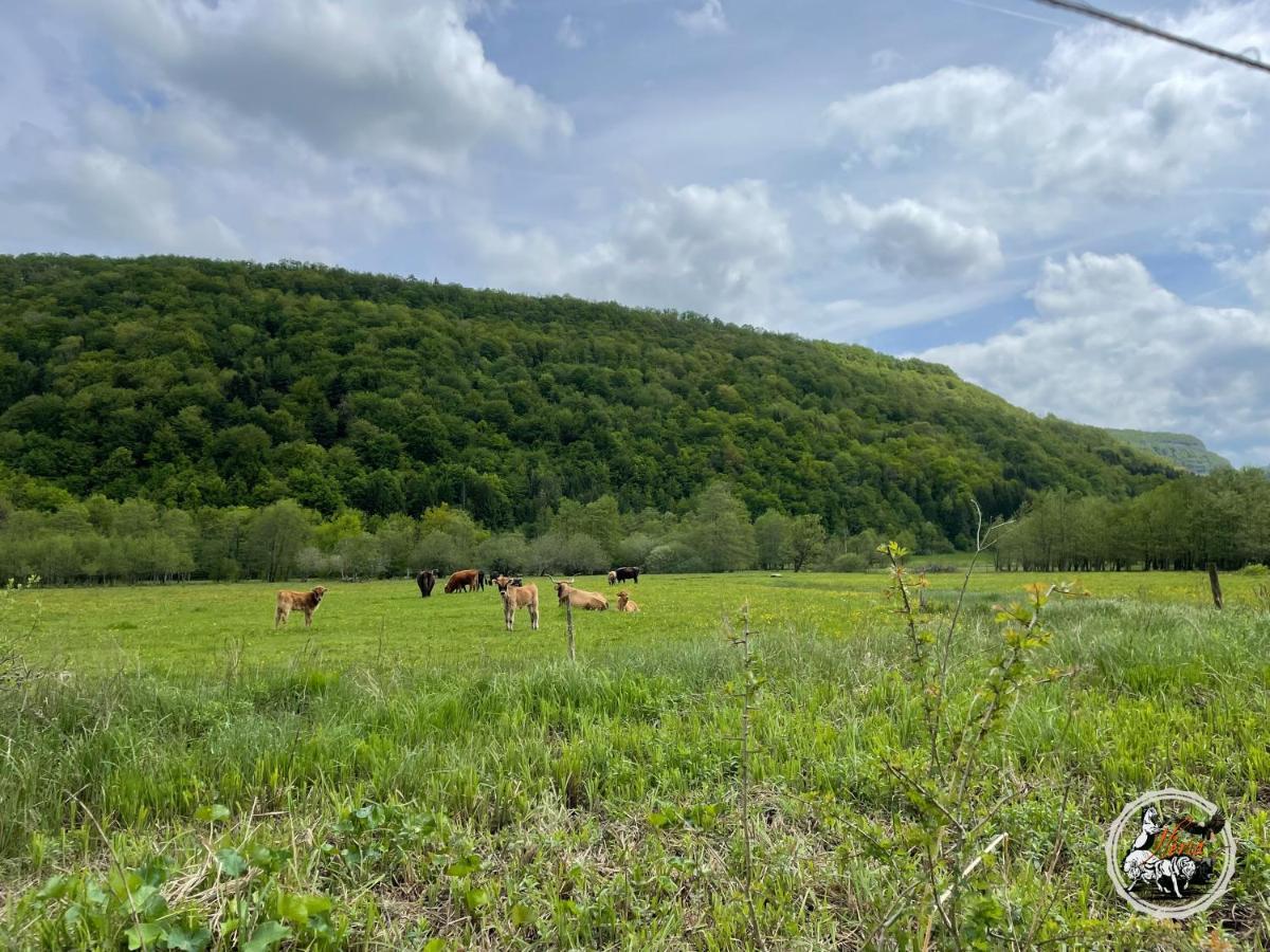 Villa Parc Animalier Du Herisson Doucier Exterior foto